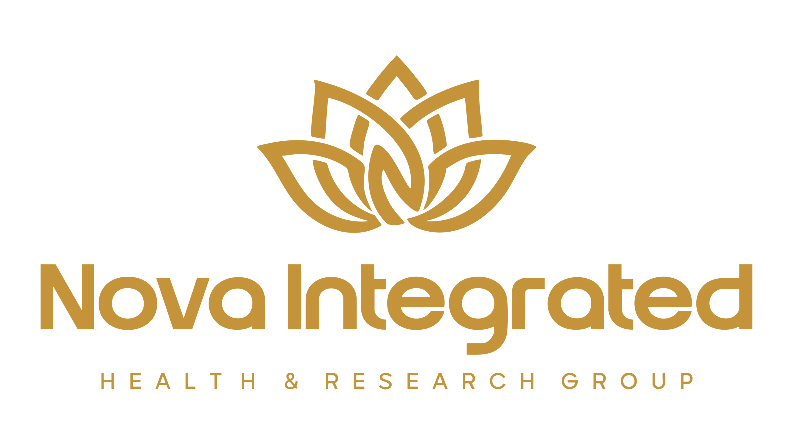 Logo Nova corregido_Mesa de trabajo 1 copia